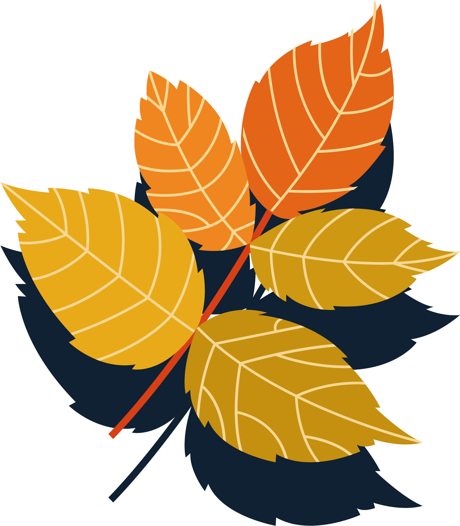 Autumn Leaves Collection Vector Material - Autumn Leaves Collection Vector Material (1536x1877)