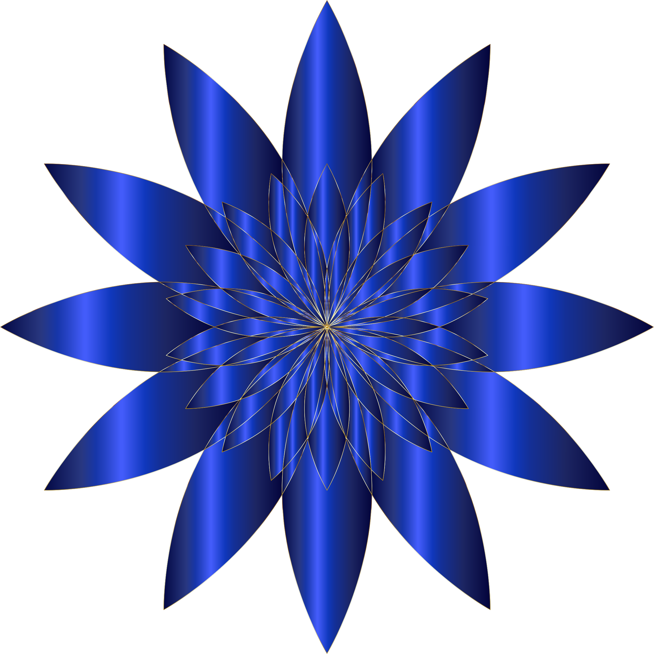 Flower 6 No Background - Téma Zima V Mš (2284x2284)