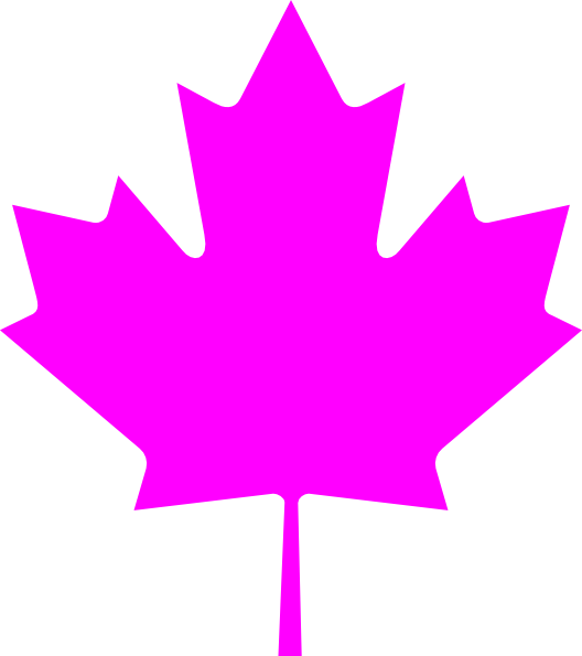 Leaf On The Canadian Flag (528x595)
