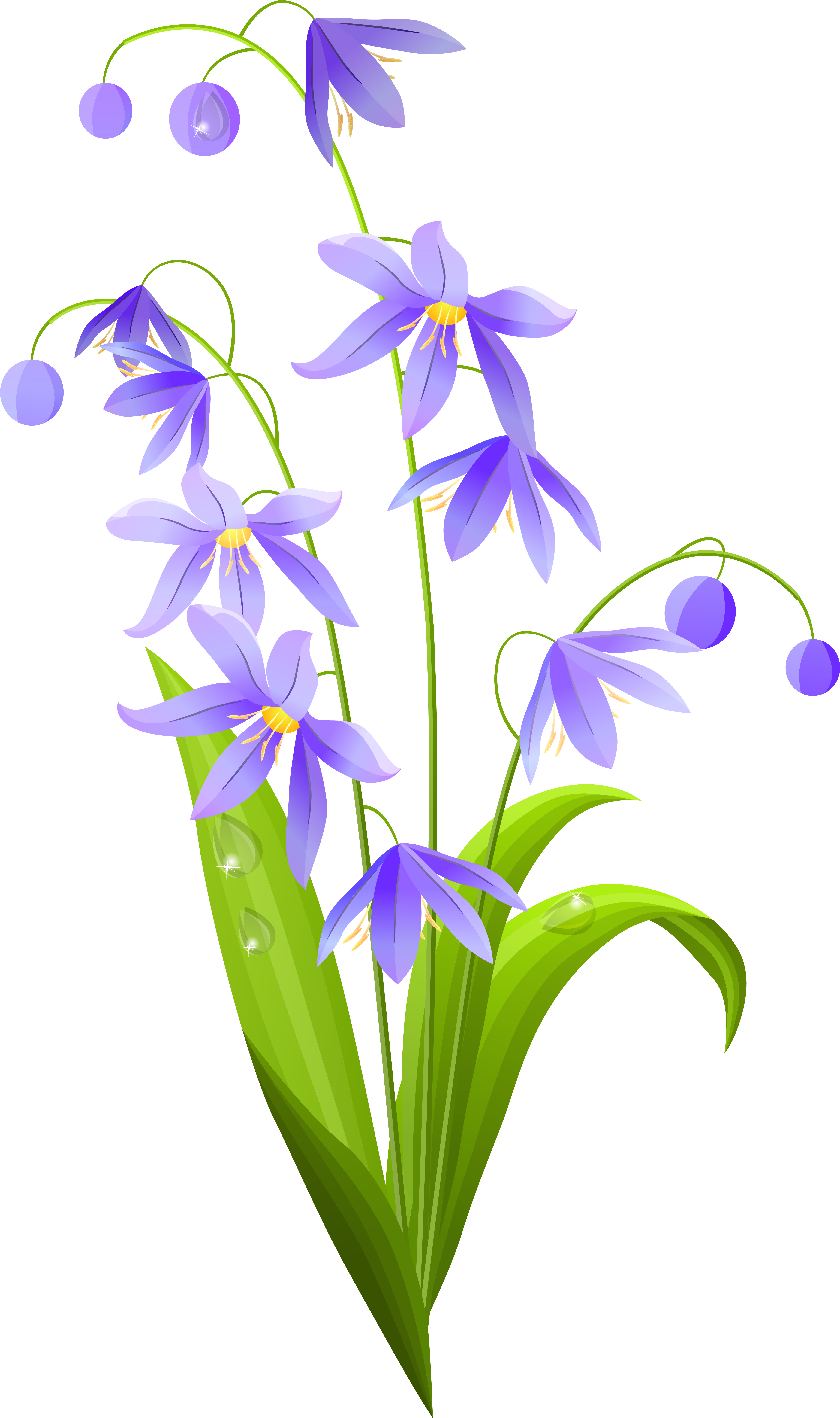 Spring Flowers Clip Art Png (4826x7855)