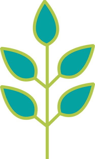 Rama Con Hojas (374x624)