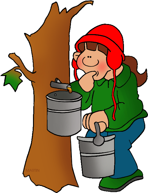 Tapping Maple Syrup - Maple Syrup Clip Art (531x648)