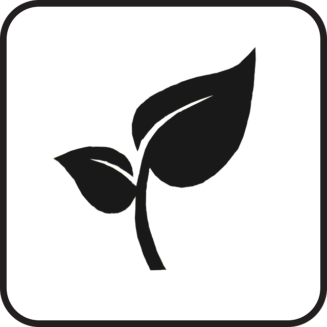 Germination - Popeye (640x640)