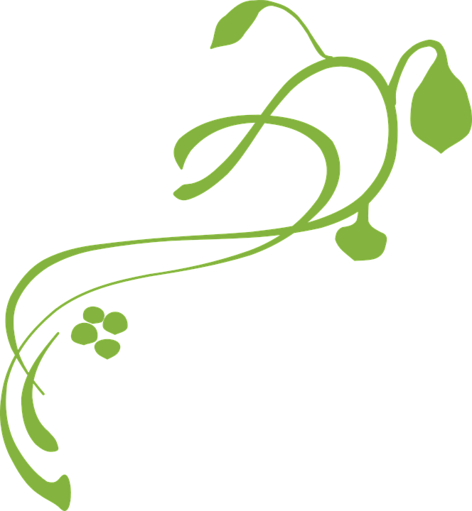 Pumpkin Vine Clipart - Lines, Vines And Trying Times (664x720)