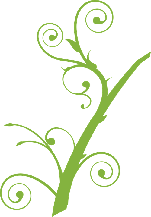 Free Vine Clipart - Tree Branch Clip Art (500x720)
