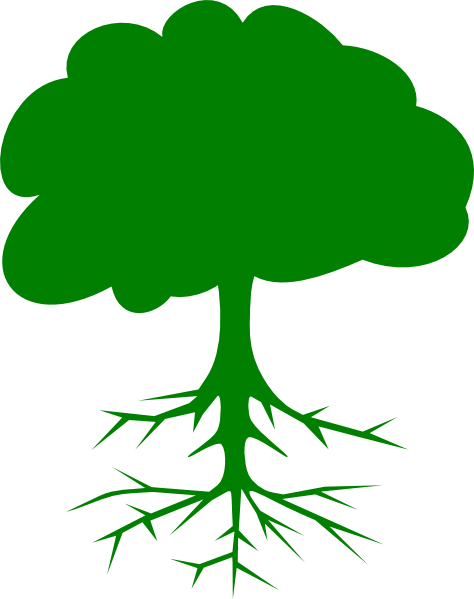Green Tree Clip Art At Clkercom Vector Online - Tree Clip Art (474x599)