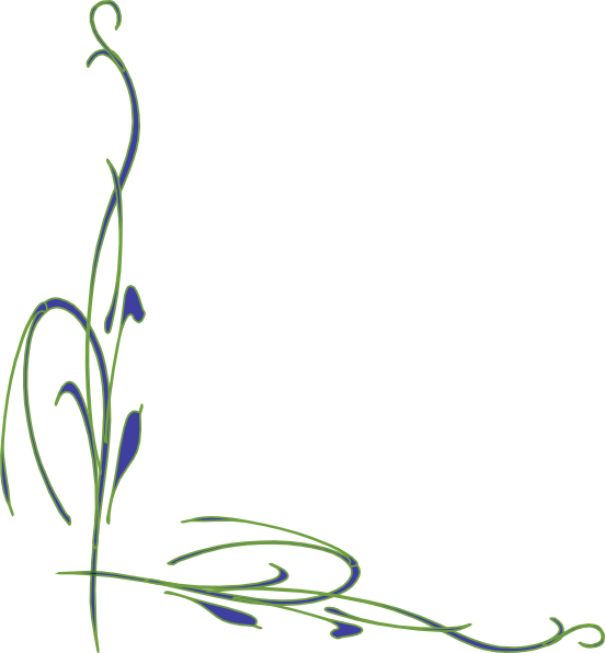 Flower Vine Svg Clip Arts 552 X 596 Px - Naturally Better Oxygen Bleach - 450g (552x596)