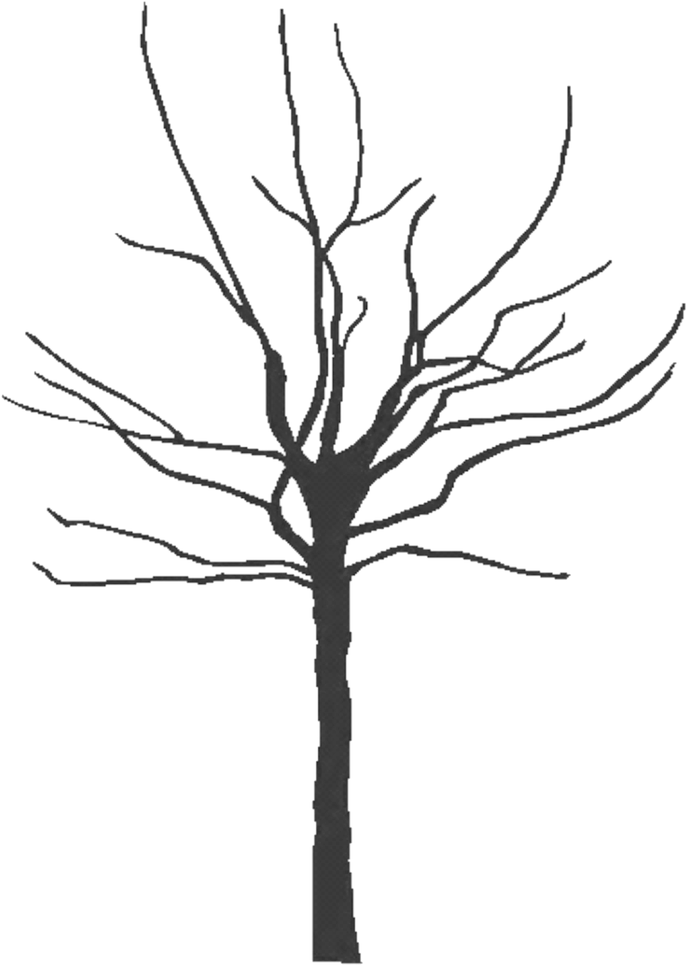 Pictures Of Bare Trees Clipart - Bare Clipart Tree (1026x1414)