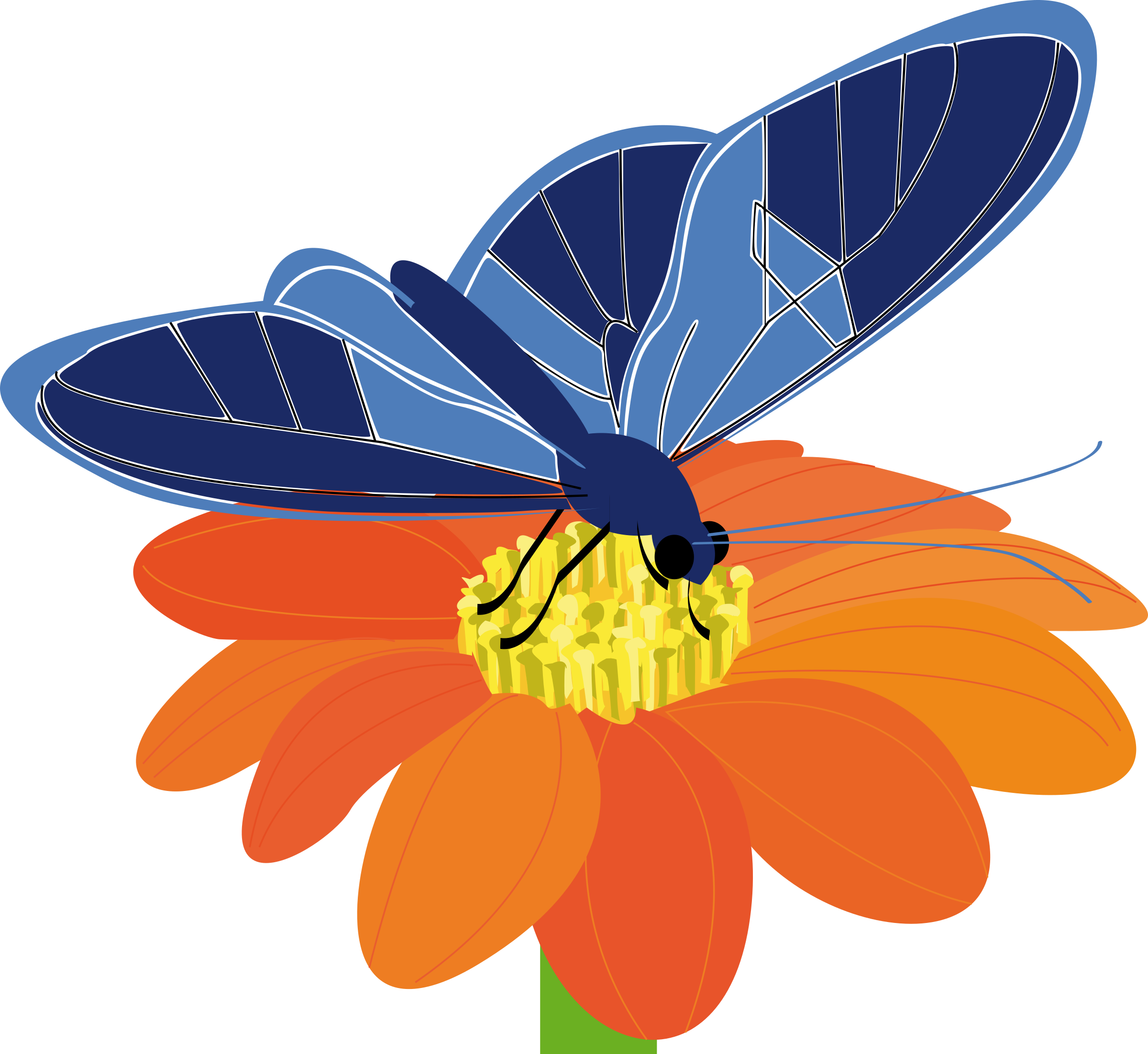Blue Flower Clipart Big Flower - Butterfly On Flower Clip Art (2400x2204)