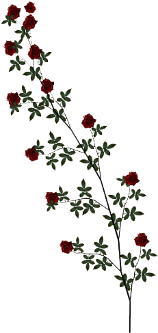 Clipart Awesome Design Vine Clipart Download Rose Hq - Rose Vine Png (500x500)