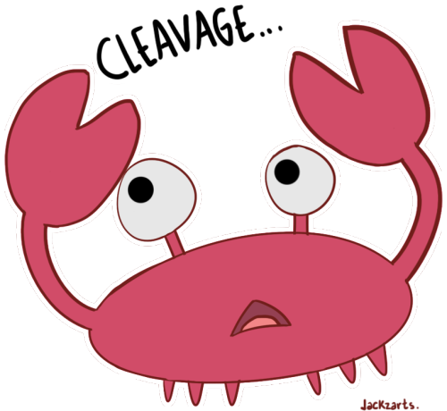 Crab Images Clip Art - Bee And Puppycat Crab (500x460)