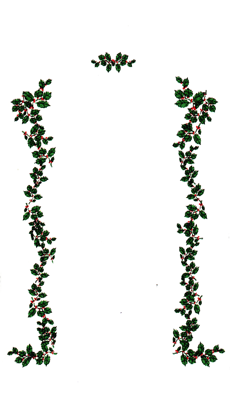 Rose Vine Border Clip Art E8tldb Clipart - Merry Christmas From Heaven Photo Frame (767x1378)