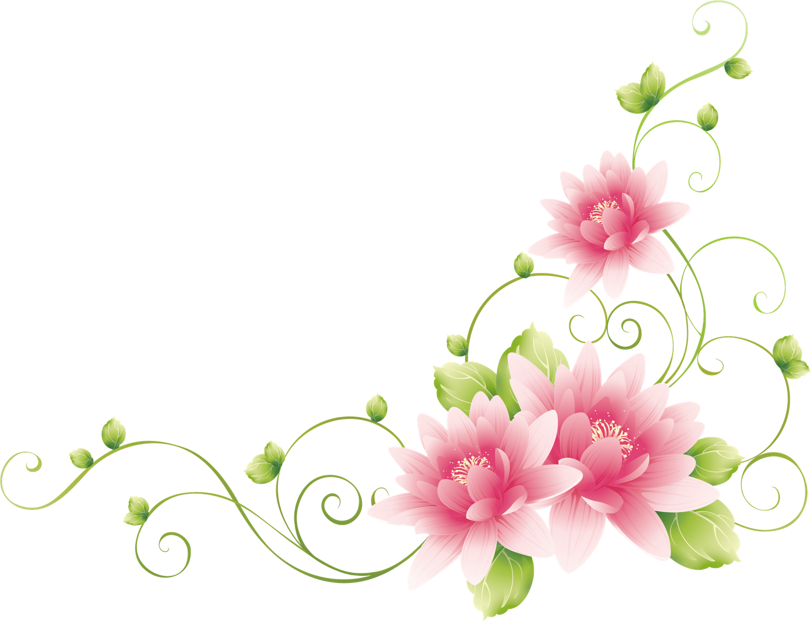 Flower Drawing Vine Clip Art - Flower Drawing Vine Clip Art (1600x1224)