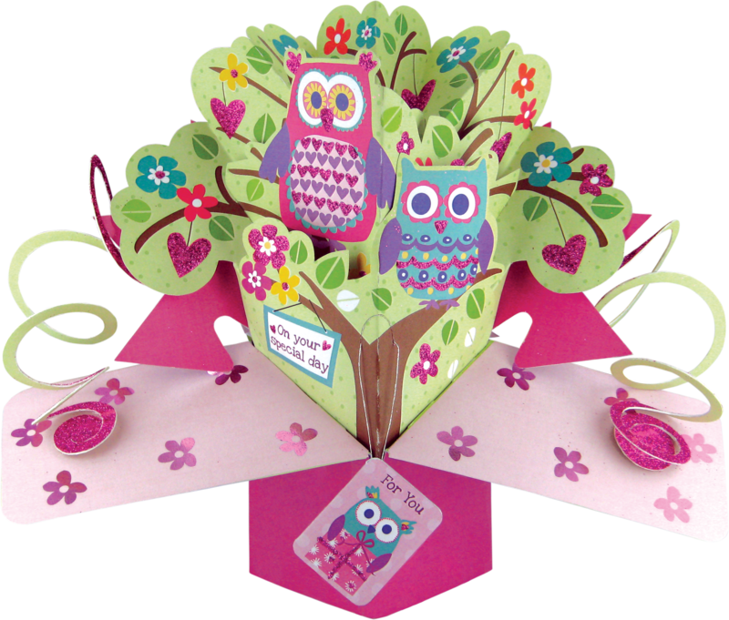 Pop Up Owls Card - Minimum Spend £40 (800x681)