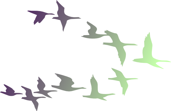 Birds In Flight Clip Art - Clip Art (600x392)