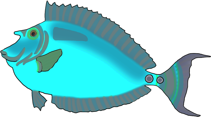 Colorful Blue Green Fish - Colorful Blue Green Fish (886x510)