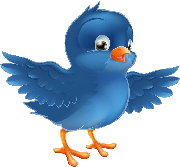 Bird Clipart - Bird Cartoon (600x600)