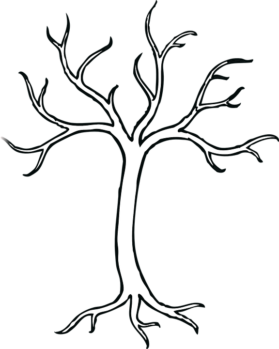 Coloring Pages Of Trees Without Leaves Tree Without - Bare Tree Clip Art (576x720)