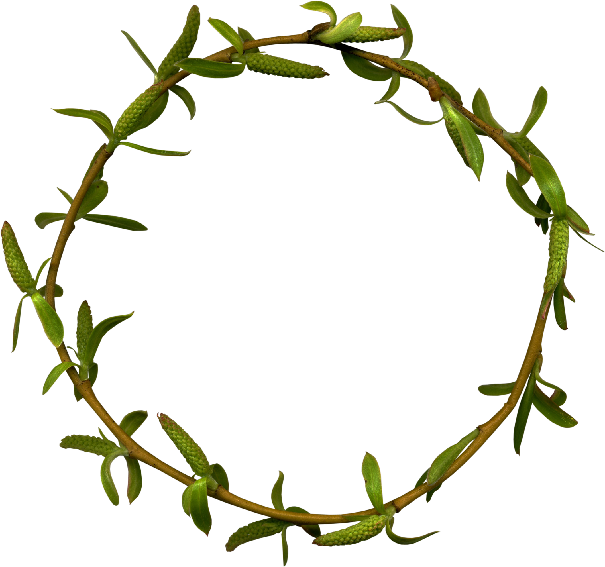 Garland Wreath Clip Art - Garland Wreath Clip Art (2500x2500)