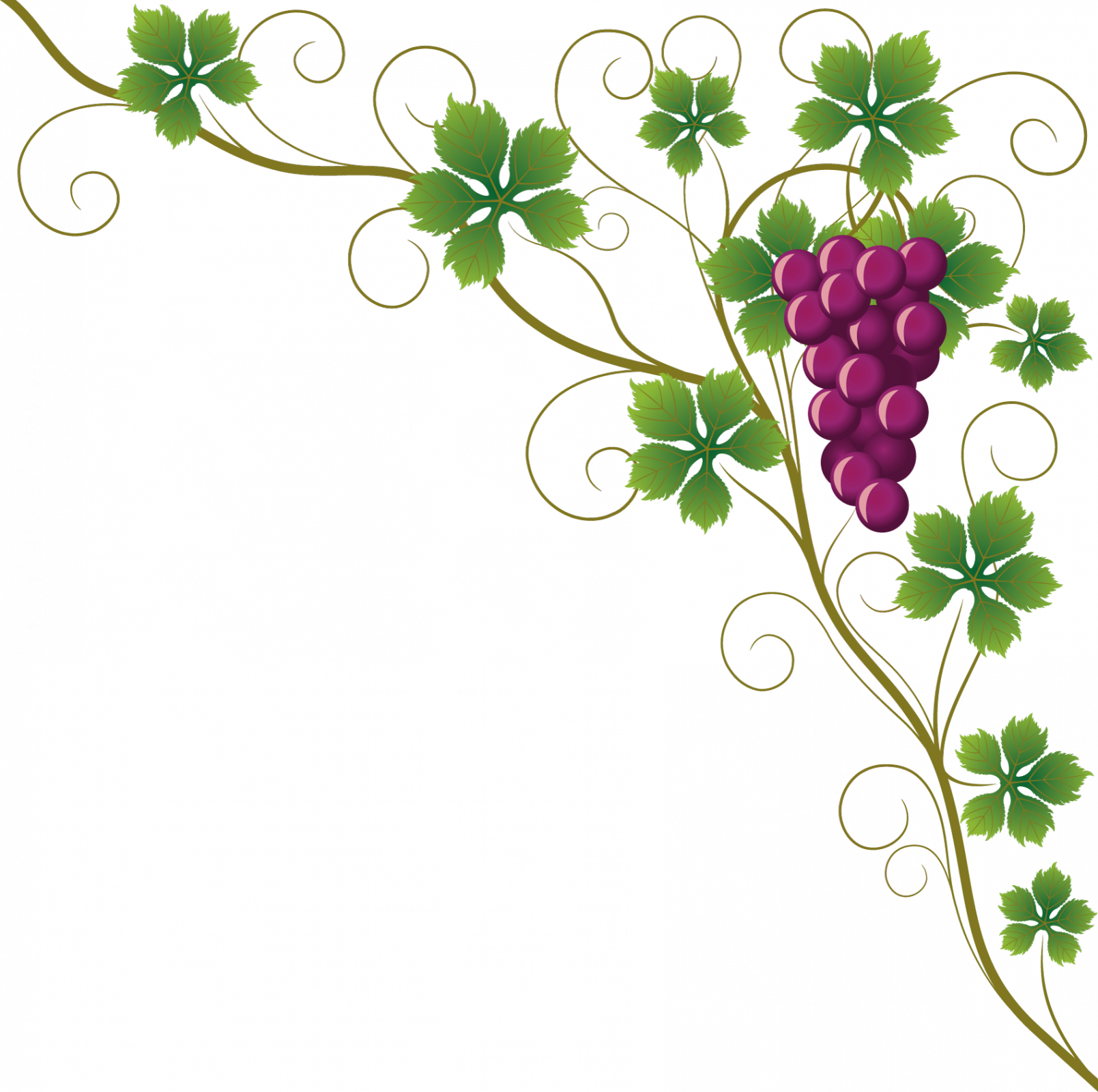 Vine Clipart Raisin - Grapes Border Png (1609x1600)