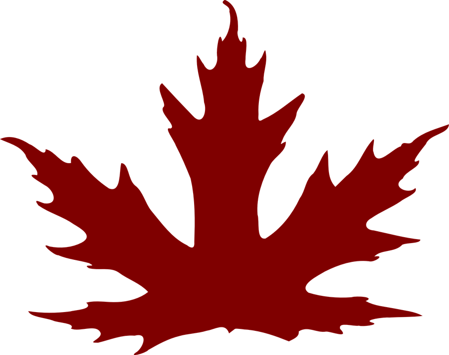 Maple Leaf Clipart Brown Maple - Maple Leaf Clip Art (909x720)