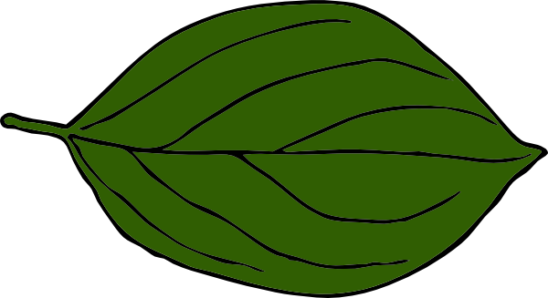 Dark Green Leaf Png (600x327)