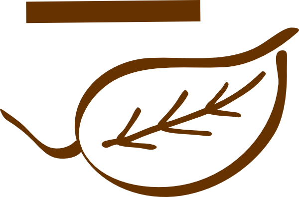 Leaf Svg Clip Arts 600 X 395 Px - Portable Network Graphics (600x395)