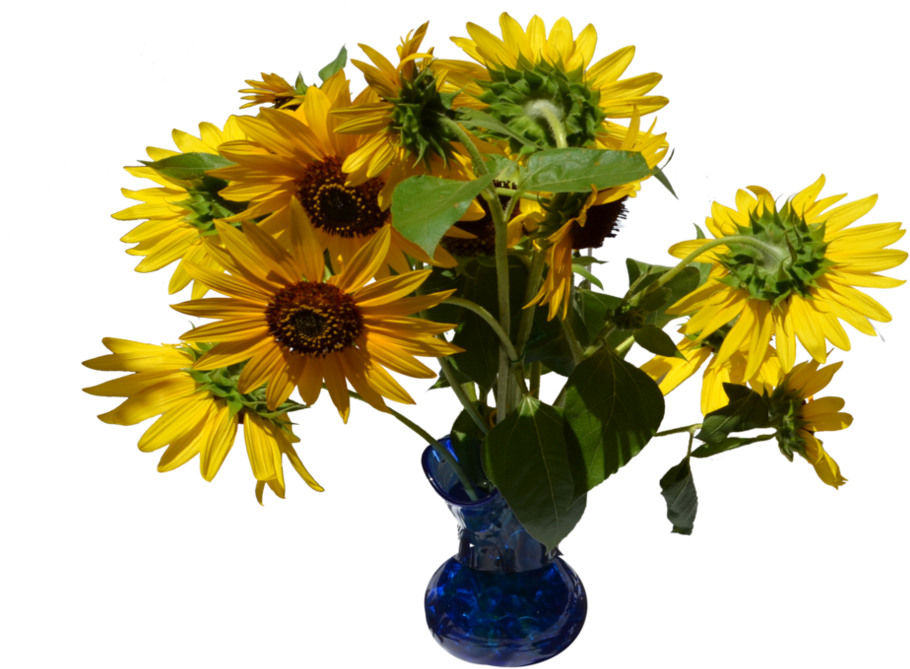 Sunflowers In Vase Png Stock 0320 By Annamae22 - Bouquet (1009x792)