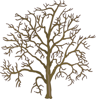 Elegant Dead Tree Clipart Cartoon Dead Tree Cliparts - Dead Tree Cartoon Png (389x400)