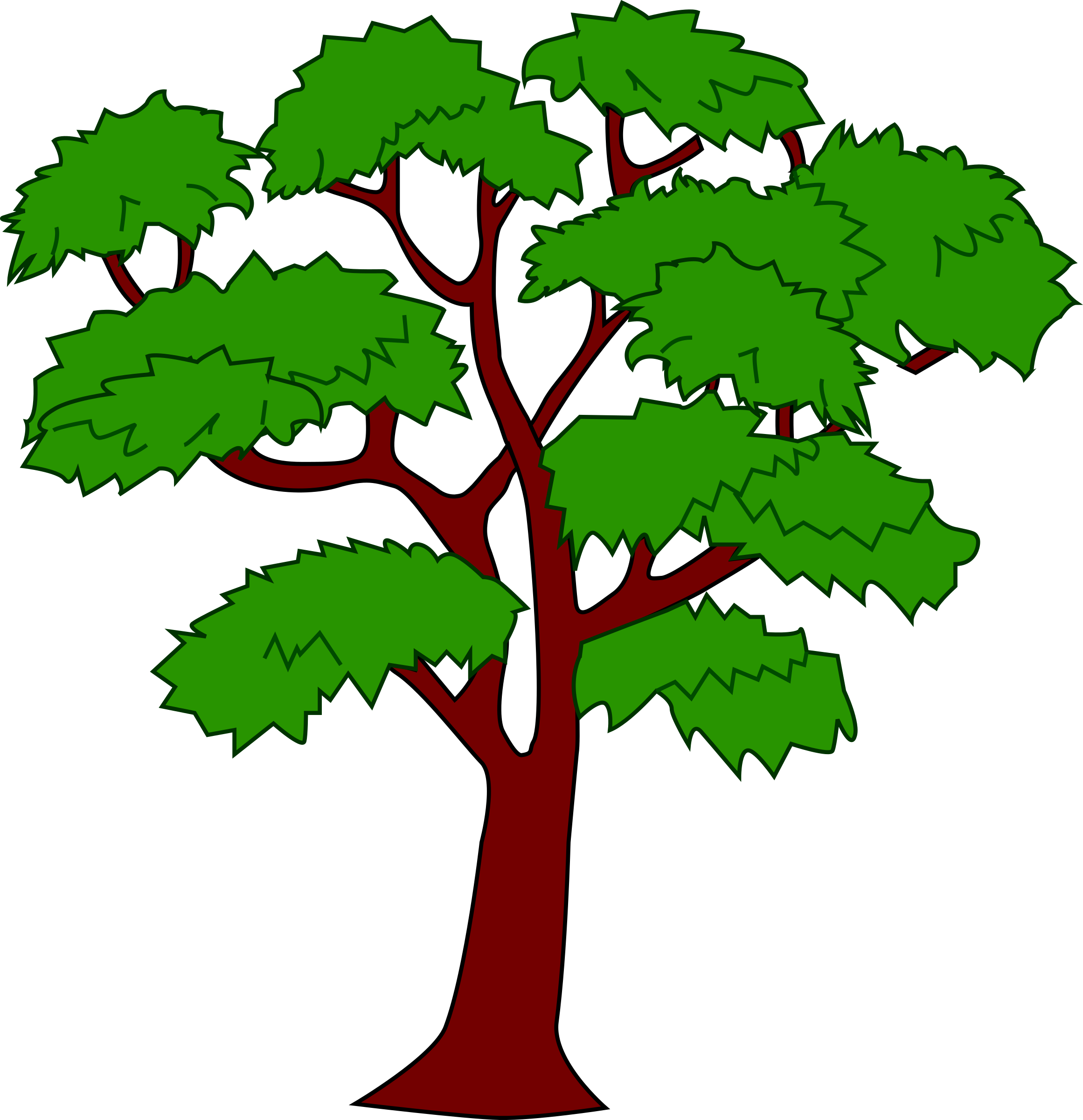Clipart Mahogany Tree - Mahogany Tree Of Belize (2322x2400)