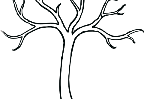 Luxury Tree Trunk Coloring Page Bare Clip Art Vector - Bare Tree Clip Art (480x329)