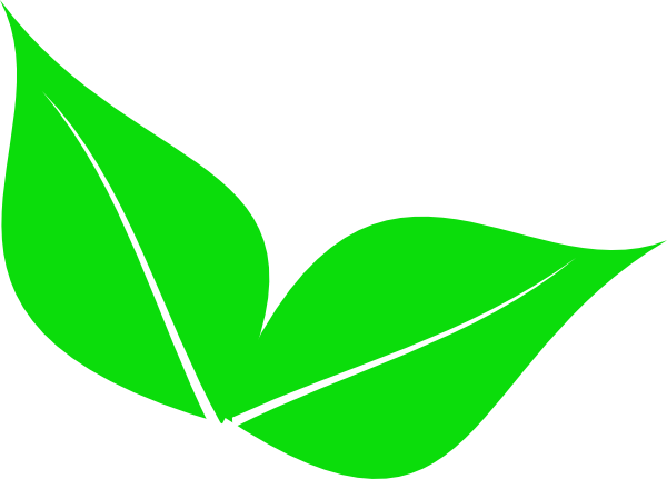 Two Leaves Clipart - Leaves On A Plant Clip Art (600x431)