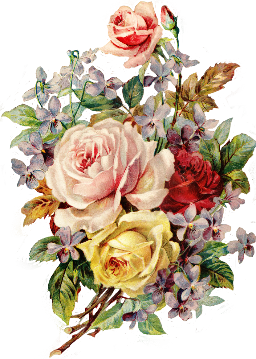 Roses, In Green Basket With Green Ribbon, Many Pink - Vintage Flowers (831x1164)