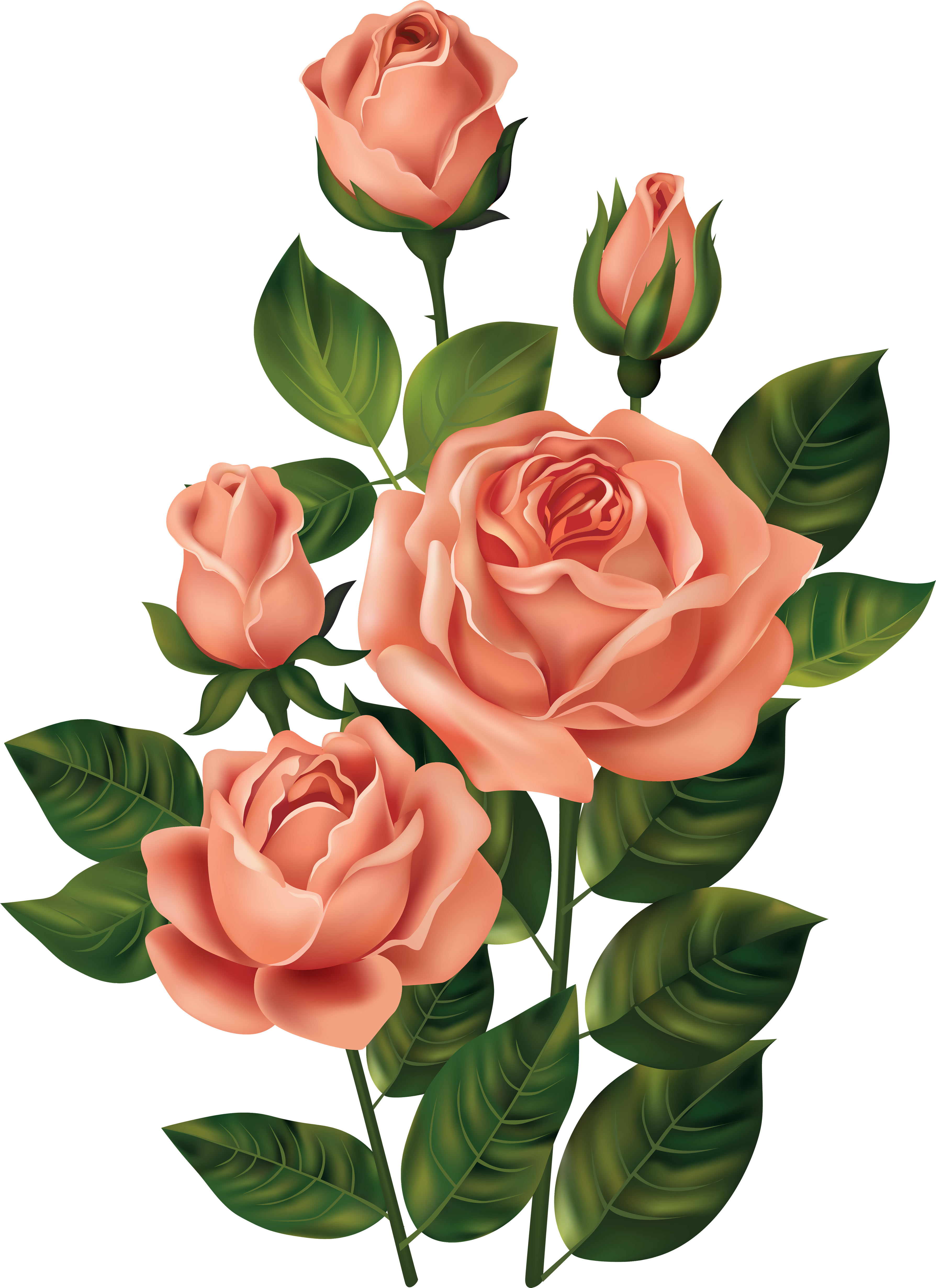Blumen, Blume Cliparts, Shabby Chic Blumen, Top Blumen, - Background Bunga Vintage Png (3696x5000)