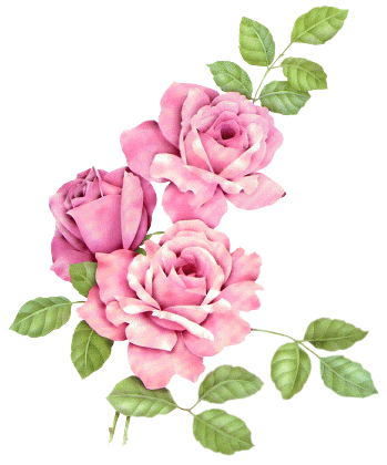 Rosenbilder, Kunstmalerei Blumen, Rosen Kunst, Pinke - Animated Alphabet S (349x420)