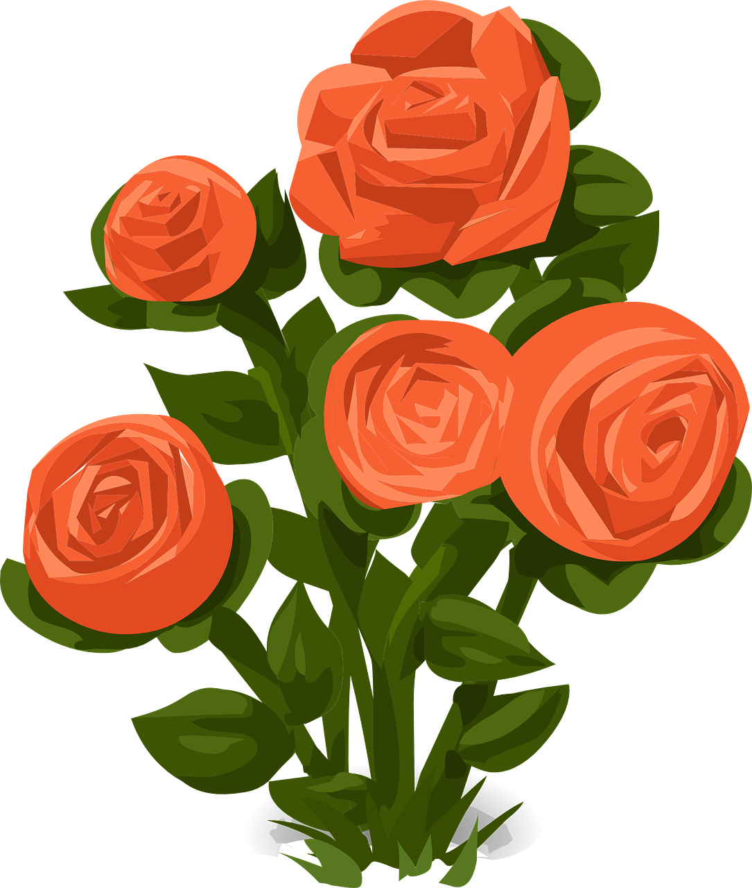 Rose Clipart Rose Bush - Rose Bush Clip Art (1085x1280)