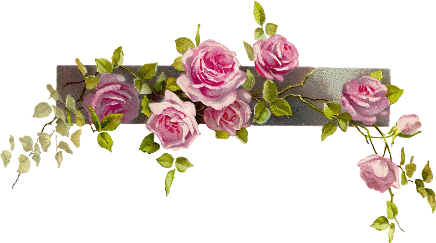 Purple Rose Clipart Coner - Vintage Flower Border Png (1600x904)