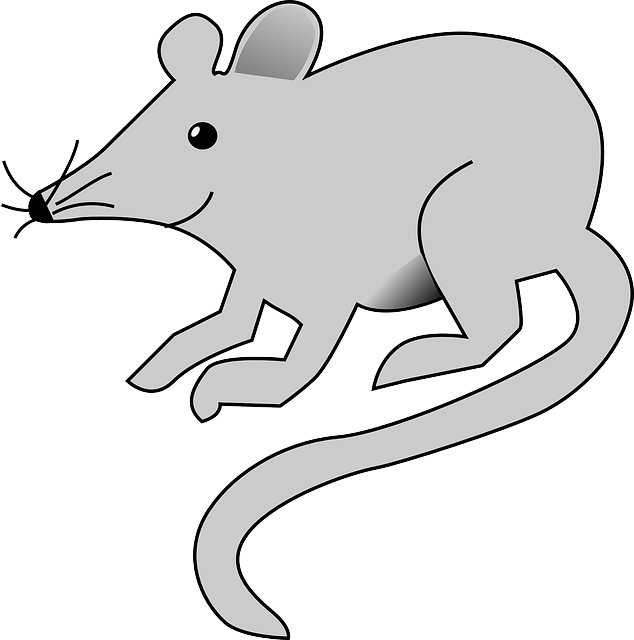 Mouse, Cartoon, Rat, Grey, Animal, Tail, Arts, Rats - Rat Clipart (634x640)