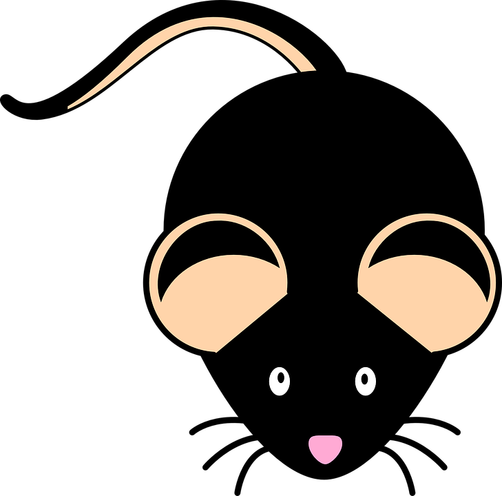 Mice Clipart Mouse Animal - Black Mouse Clipart (729x720)