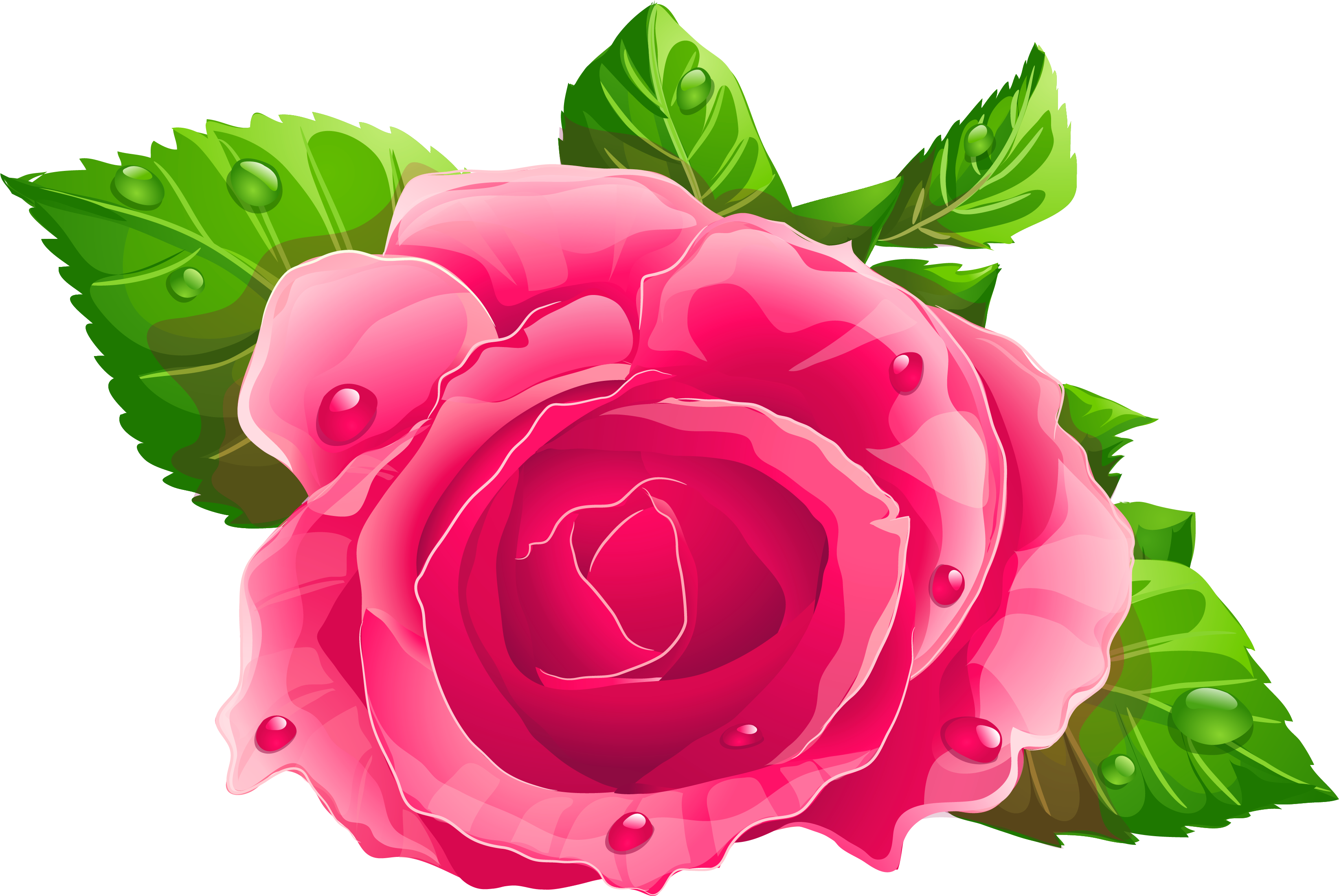 Rose Clipart Image - Birthday Wishes To Mother (3327x2269)