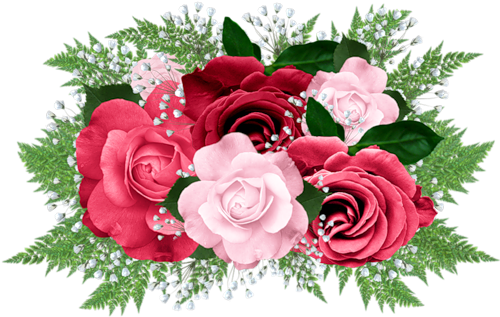 Red Clipart Pink Rose - Red And Pink Roses Png (500x341)