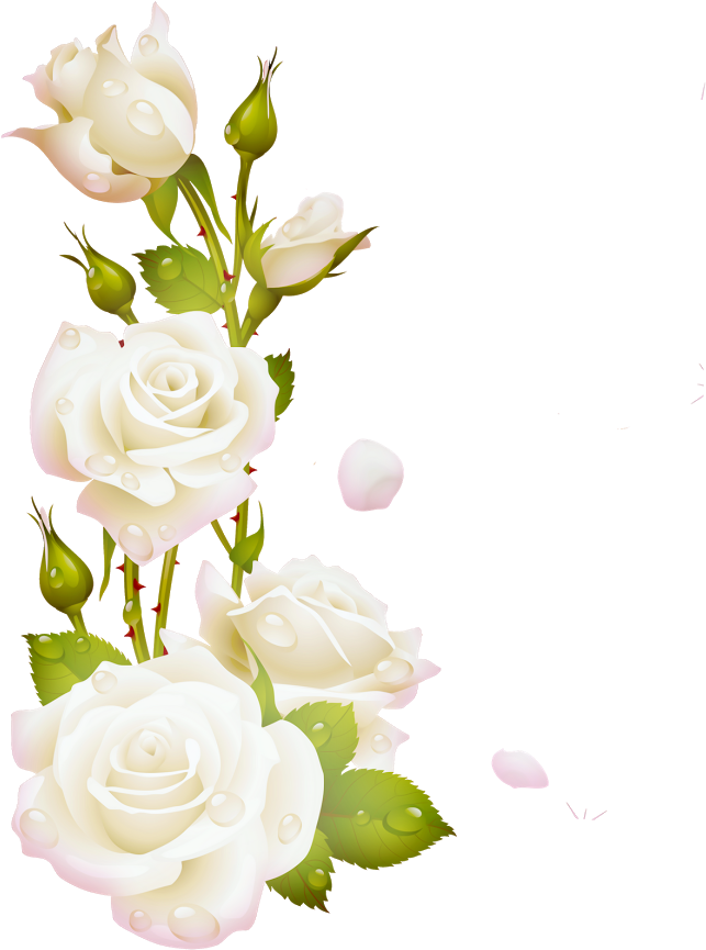 Como La Miel De Abejasmil Flores - White Rose Frame Png (872x872)