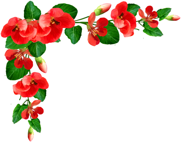 Bordure Fleur Clipart 5 By Tracy - Roses Corner Border (600x490)