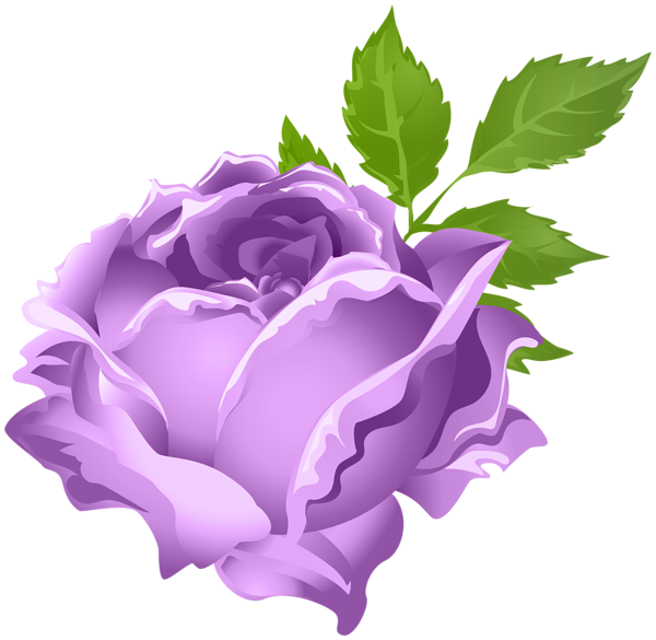 Purple Rose Clipart Puple - Portable Network Graphics (600x585)