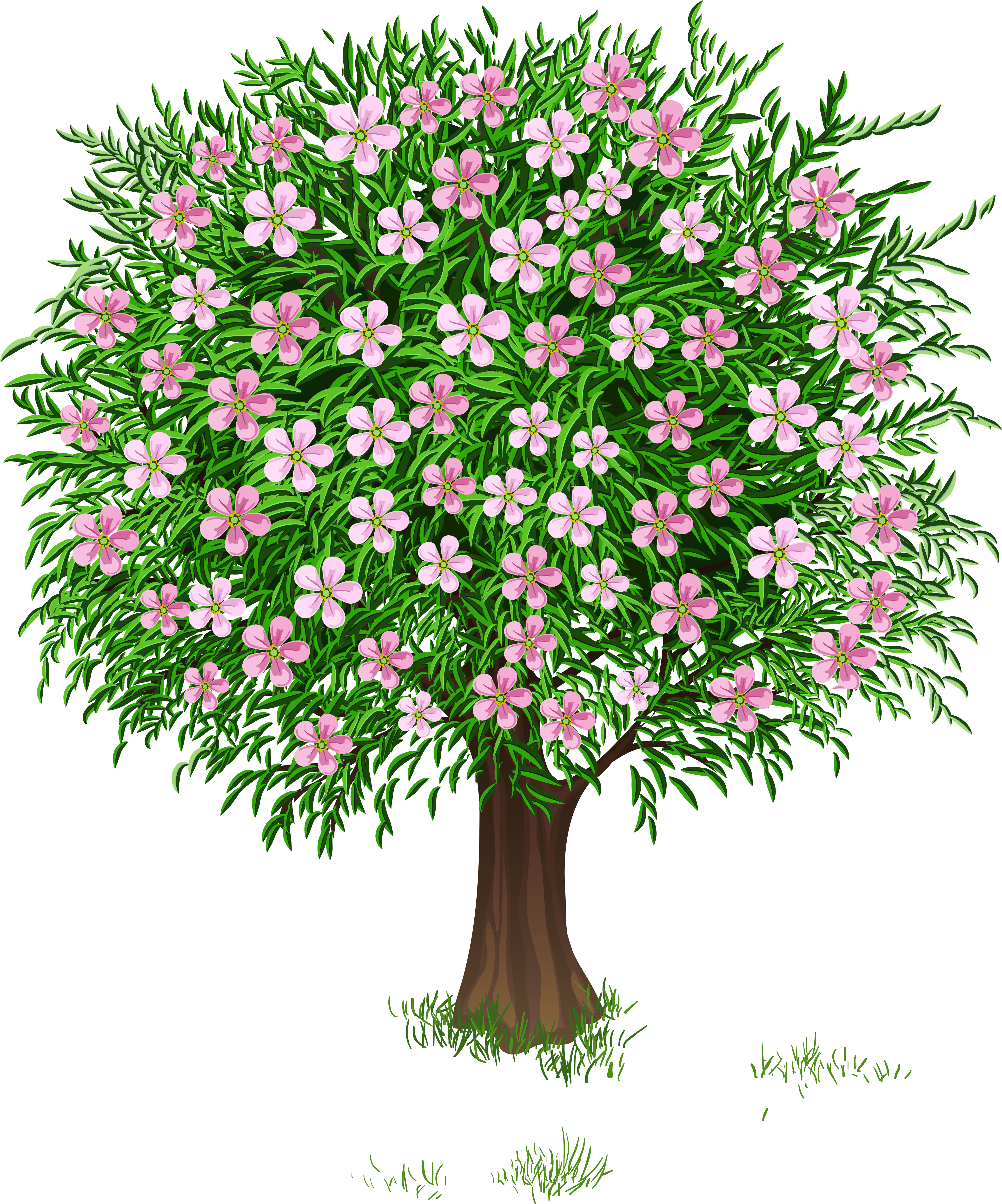 Весна Дерево Прозрачный Png Изображения Clipart - Spring Tree Clipart (4470x5232)
