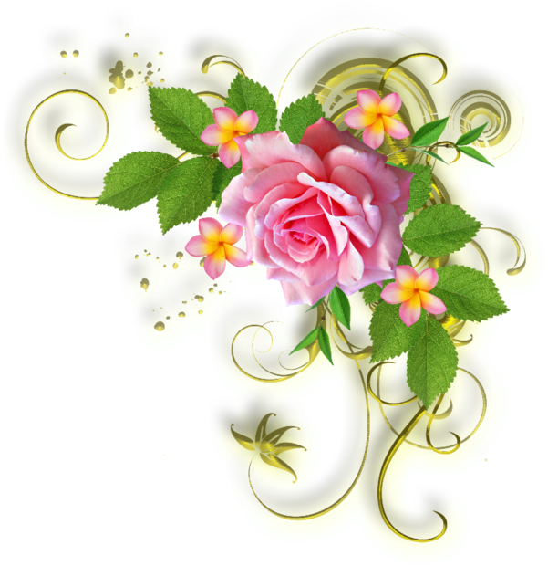 Clipart Gratuit Bordure Fleurs - Yellow Rose Birthday Card (700x700)