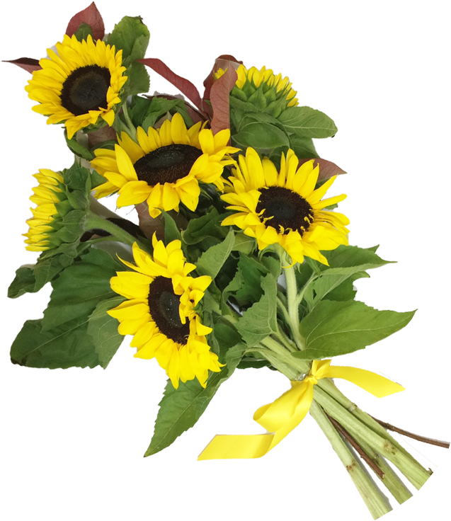 Sunflower Hand-tied Bouquet - Flower Bouquet (750x750)