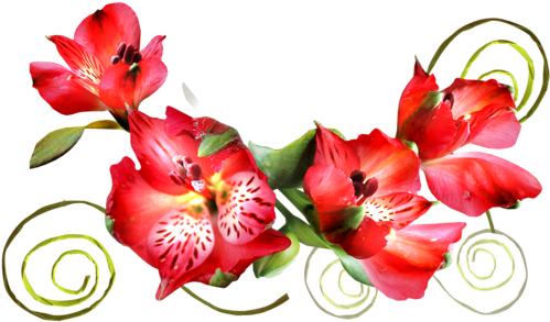 Clipart Gratuit Bordure Fleurs - Cadre Fleuri Pour (500x500)