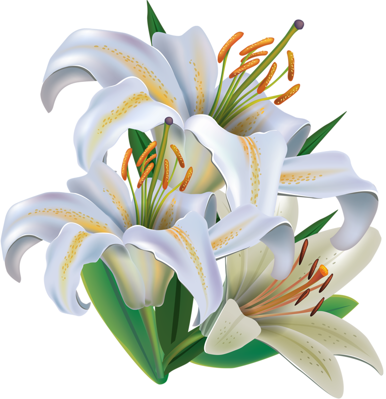 Fleur - Flower (773x800)