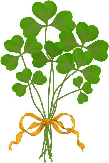 Green Four-leaf Clover Flower - Green Four-leaf Clover Flower (418x600)